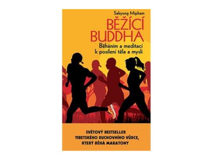 97913 bezici buddha behanim a meditaci k posileni tela a mysli