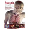 Anatomie - Fantastická 3D výprava lidským tělem