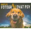 Naučte se fotografovat psy