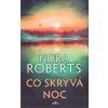 Co skrývá noc