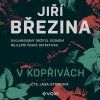 V kopřivách (audiokniha)