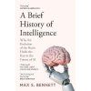 Brief History of Intelligence