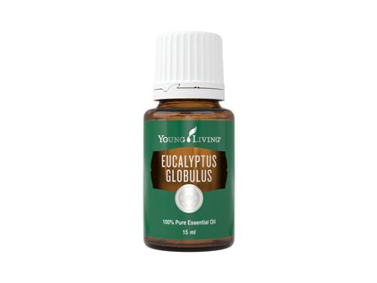 Eucalyptus Globulus 32028
