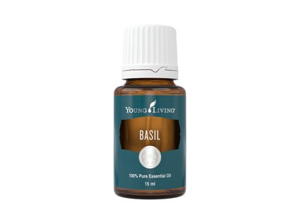 Basil 33266