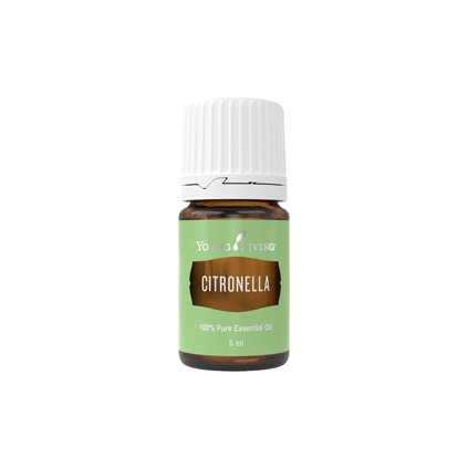 Cintronella 32159