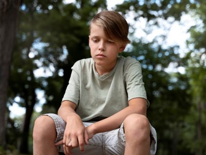 Šikanovanie a kyberšikanovanie detí a mládeže formatted