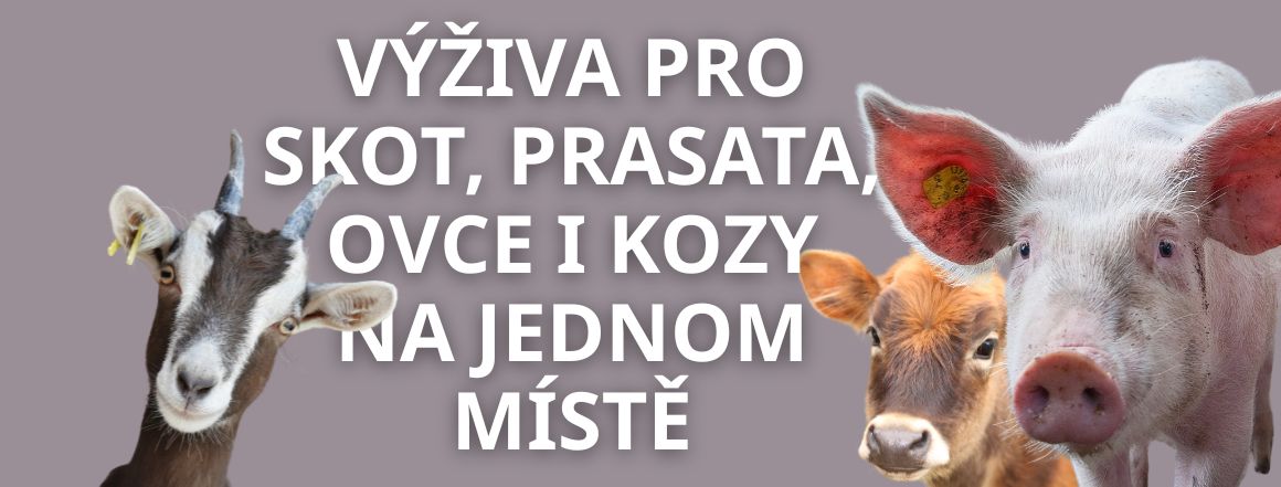 Krmivo pro skot, prasata, ovce a kozy