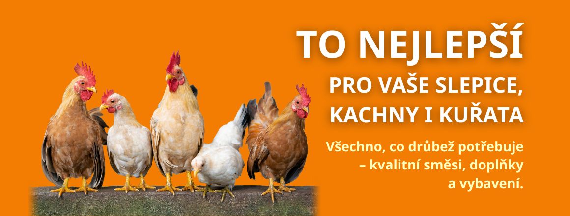 Nabídka krmiv a doplňků pro drůbež, nosnice a kuřata