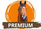 Premium