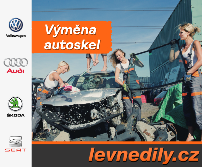 Vymena autoskel