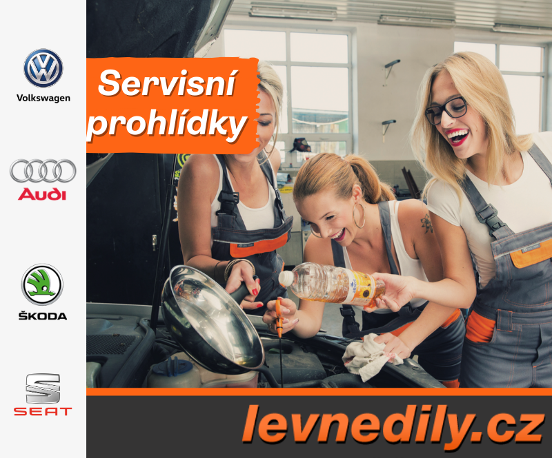 Servisní prohlídky