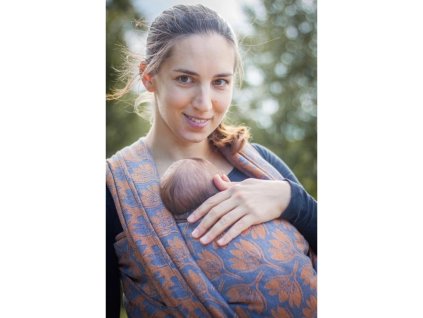 28528 2 loktu she rhododendrons twilight