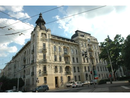 image (12)