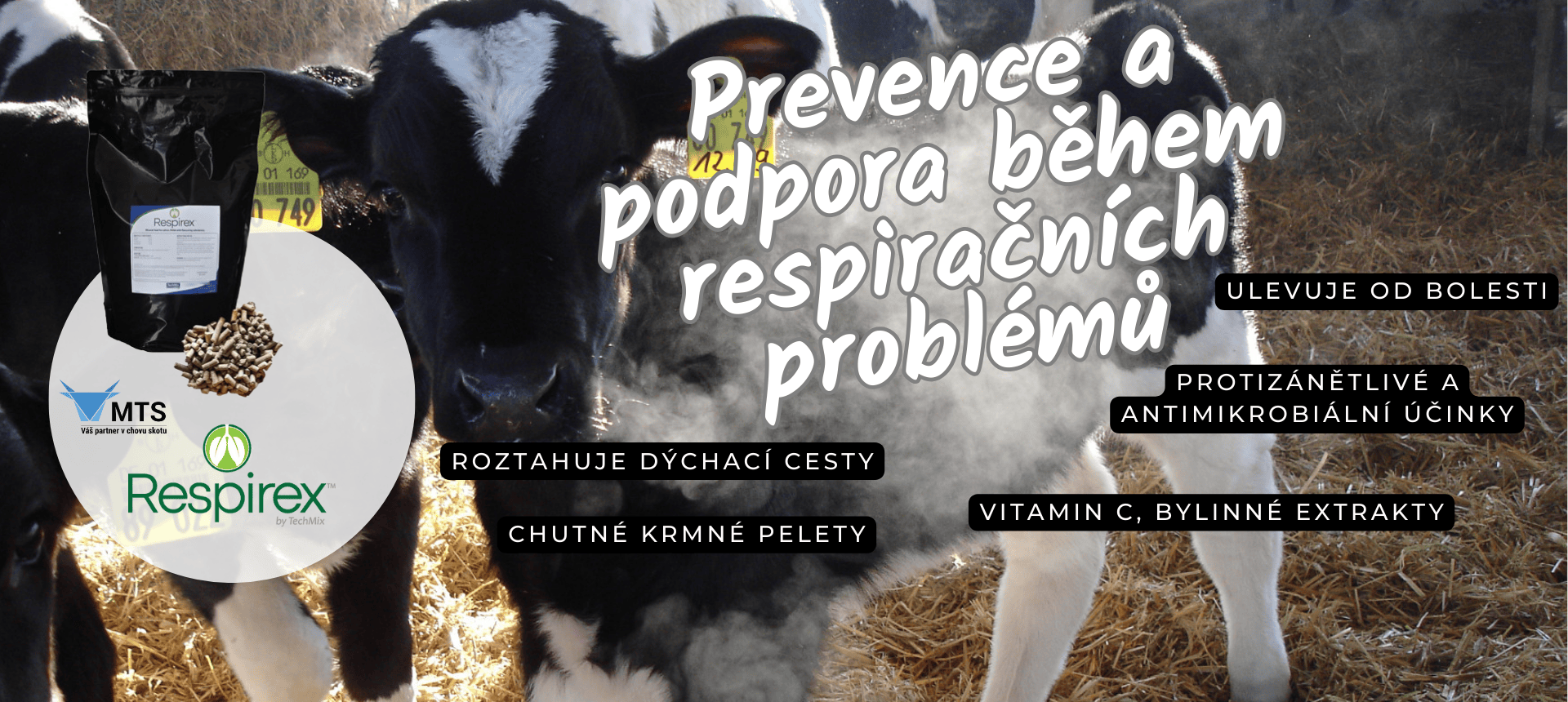 Respirex banner