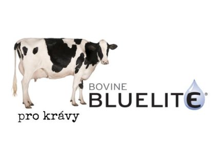 blkravy
