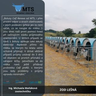 Komplexní průjmový protokol pro telata od MTS znamená efektivní řešení obou stránek onemocnění - tedy jak následků, tak i...