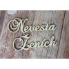Ženích / Nevesta 1