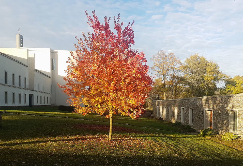 Allerheiligen, 11. November 2024