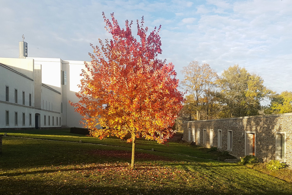 Všichni svatí, 11. listopadu 2024