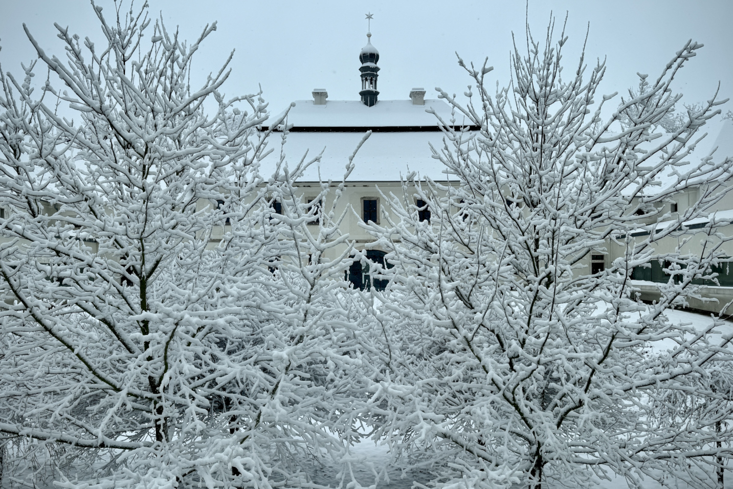 Und die Nacht wird zum Licht, 17. Februar 2026