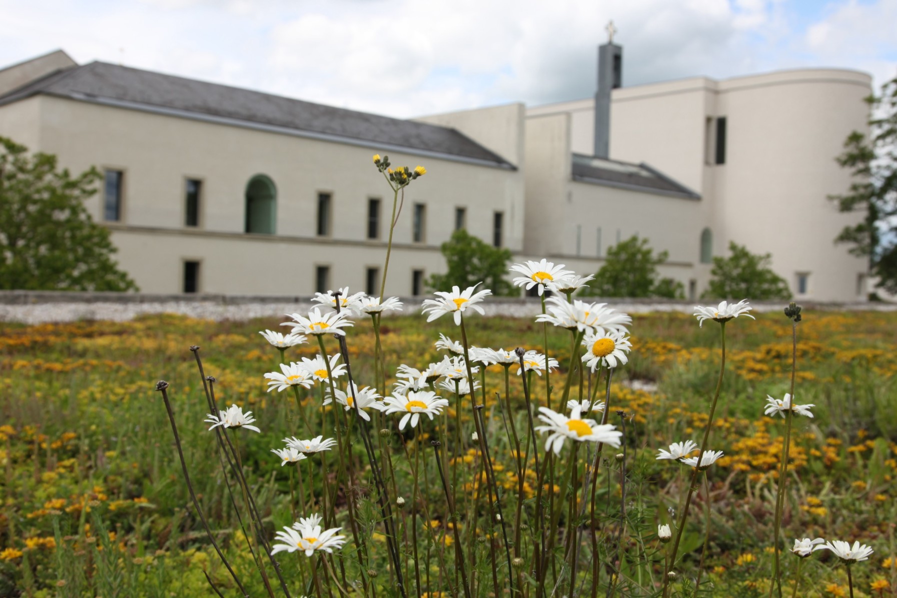 Slavnost Těla a Krve Páně, 7. června 2024