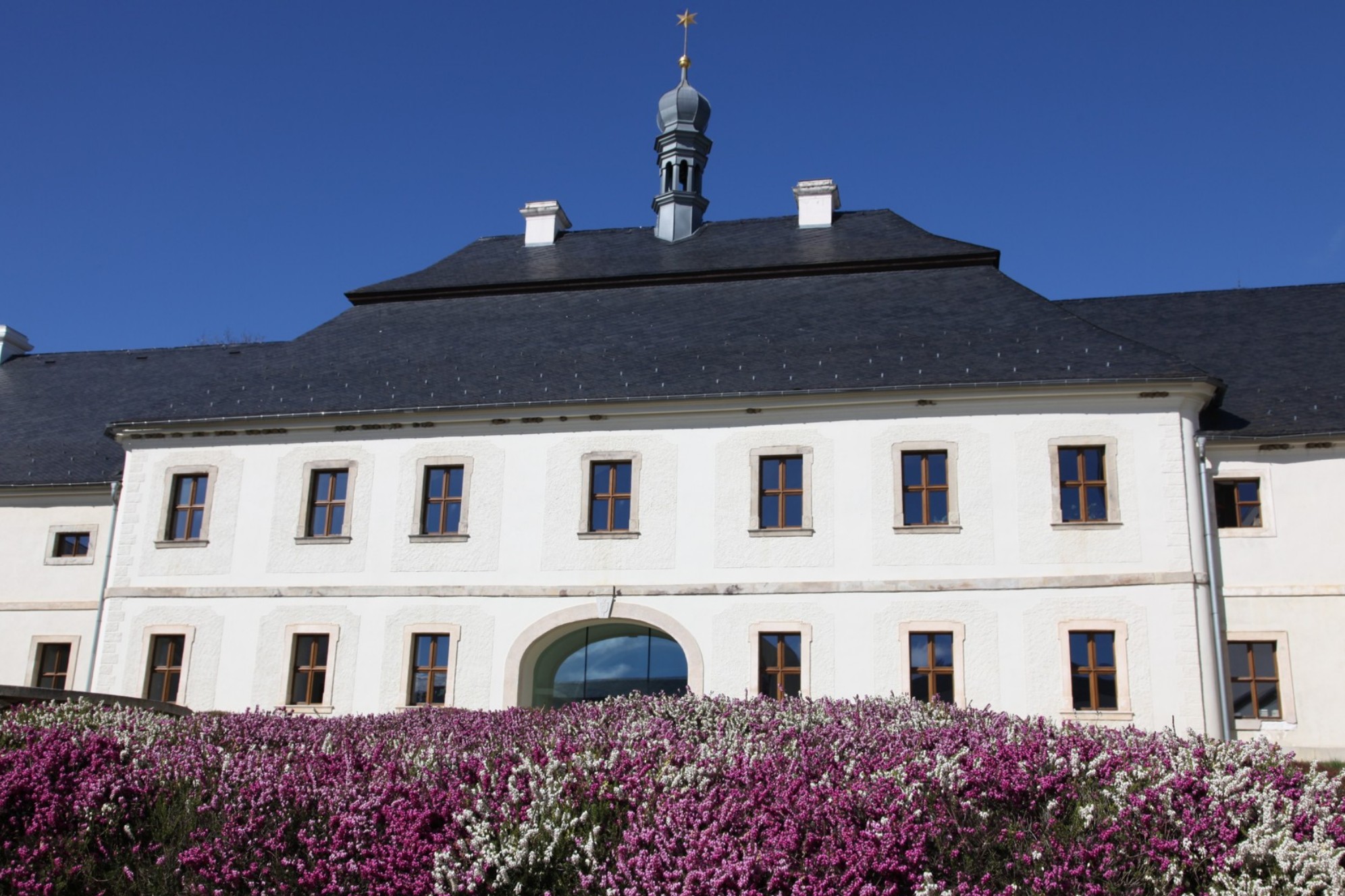 Radost z Boha, 8. července 2024