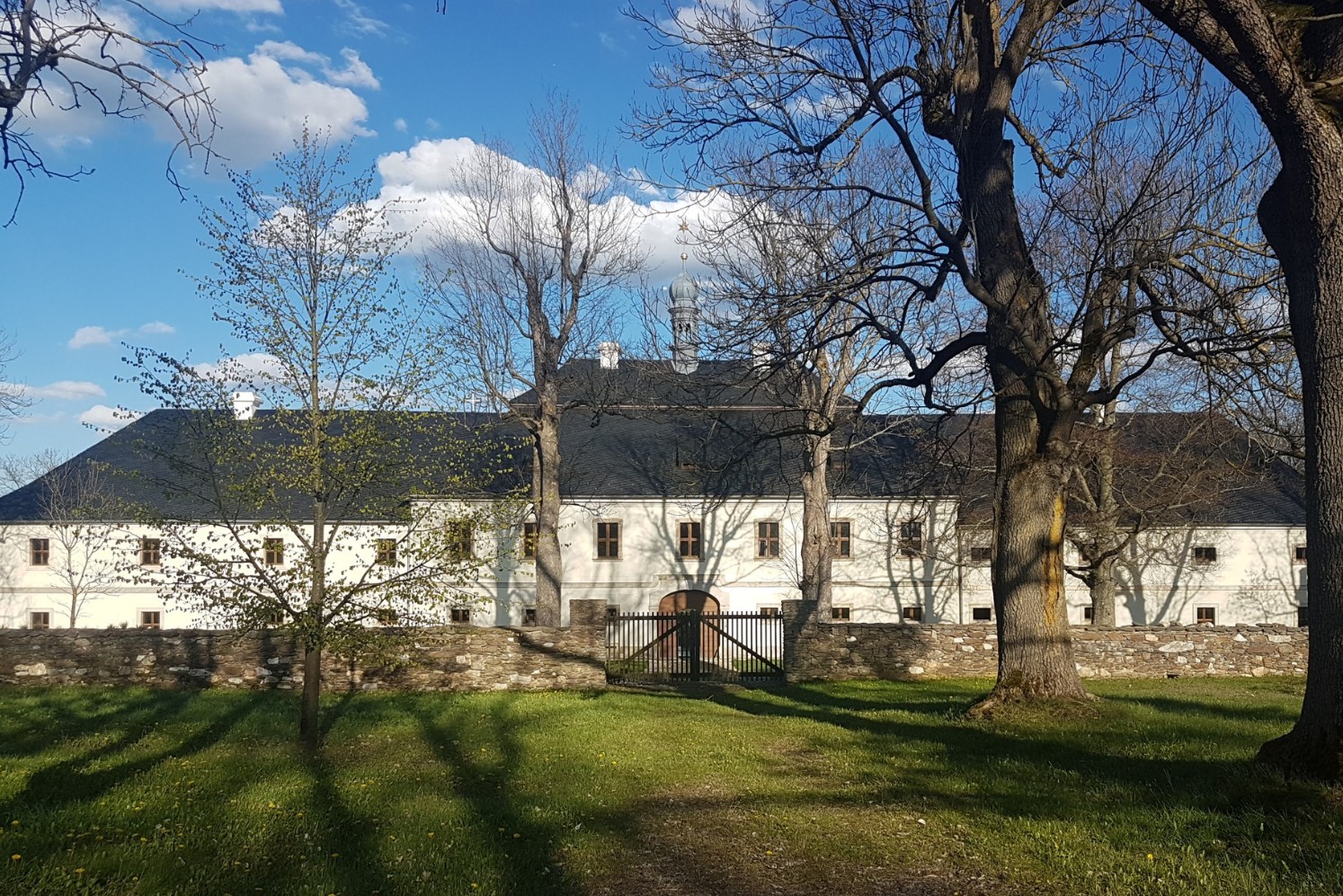 Die berühmten Gelübde von Br. David, 3. Mai 2024