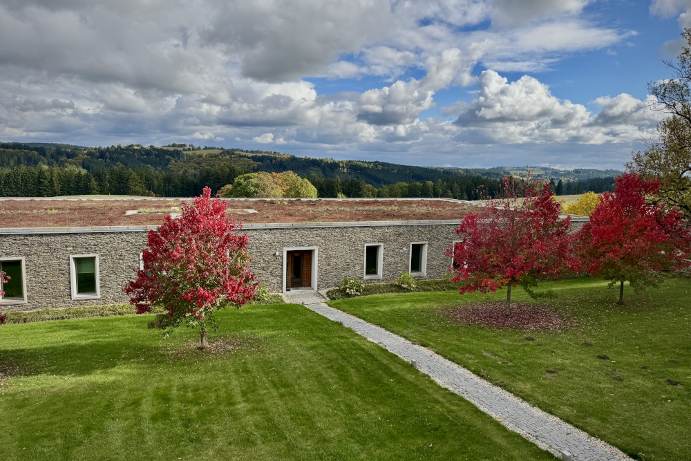 Očakávanie, 18. novembra 2025