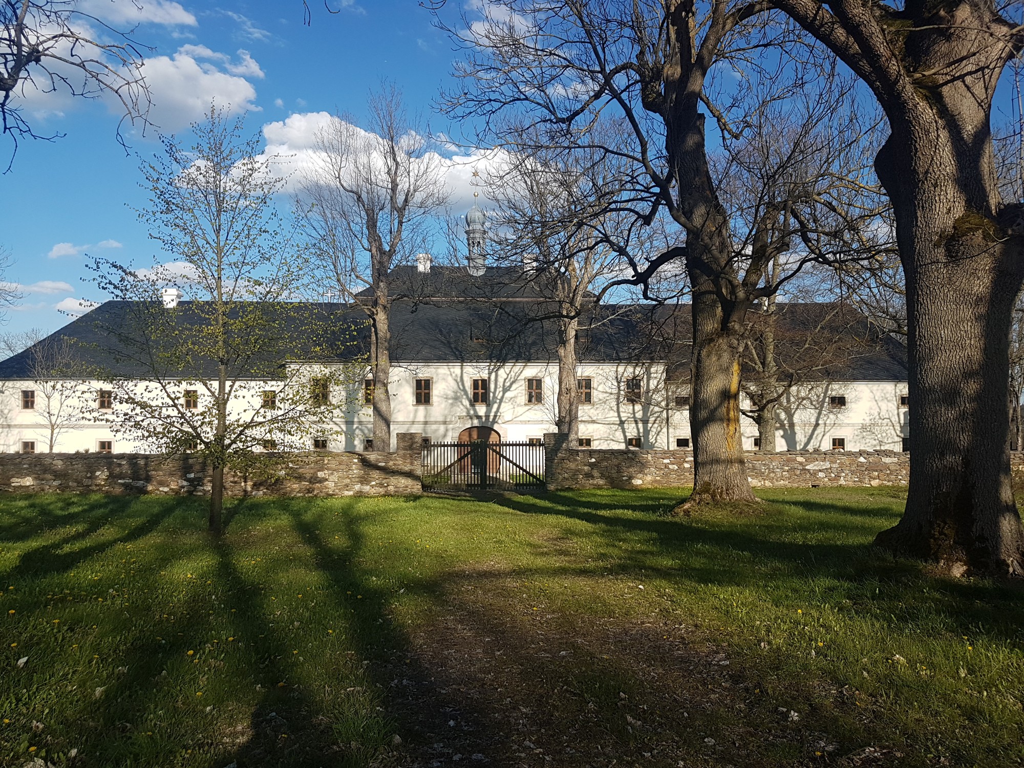 Slávne sľuby br. Davida, 3. mája 2024