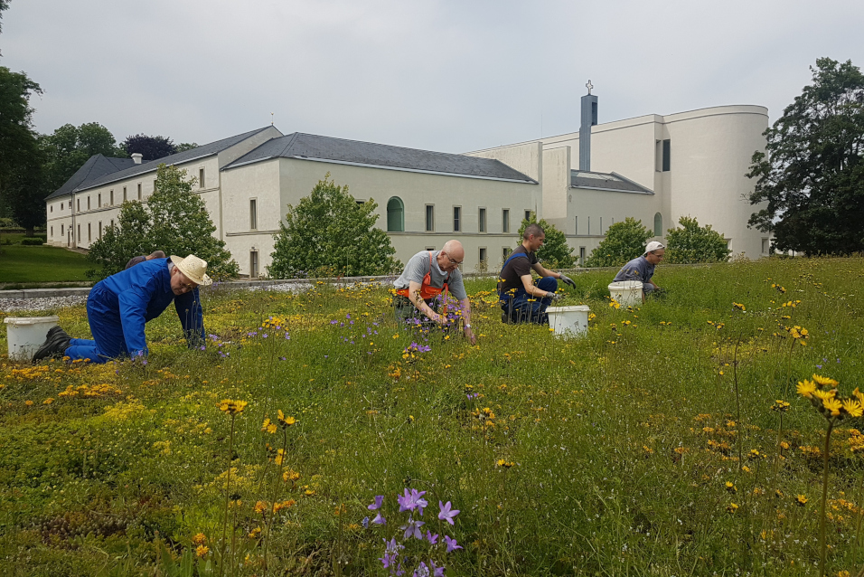 Nebezpečí aktivismu, 19. června 2025