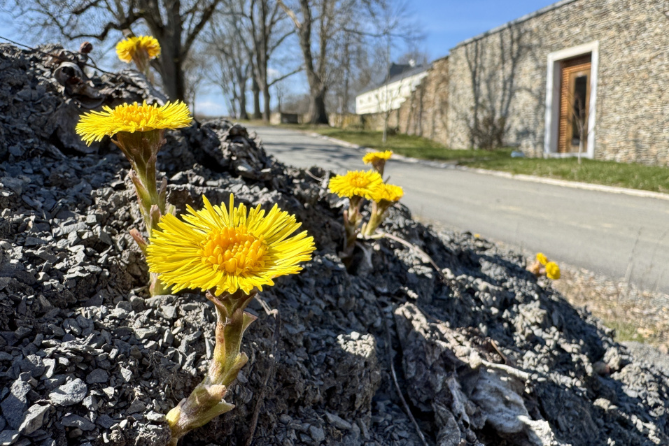 Aus Wertlosem kann wieder ein Schatz werden, 14. April 2026