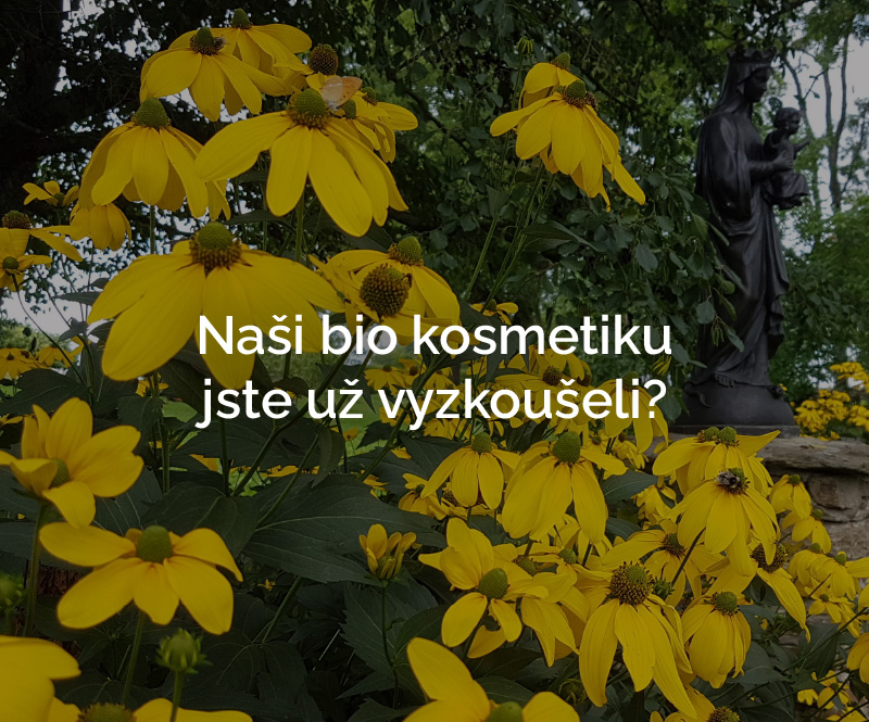 Opatství Nový Dvůr