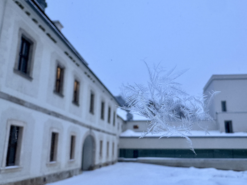 vločka na okně v křížové chodbě