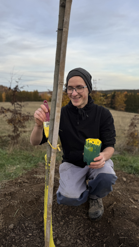 natieranie stromčekov