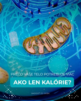Kalórie nie sú všetko. Vaše telo potrebuje vitamíny, minerály a správny pomer makroživín. 🧬 Zistite, čo skutočne podporuje...