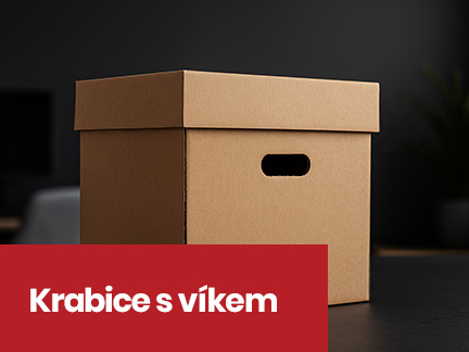 Krabice s víkem