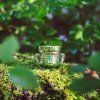 PHYRIS Forest Light Cream - Lehký hydratační krém