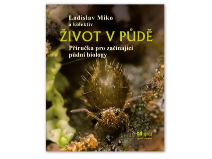 život v půdě
