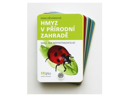hmyz