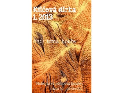 KLÍČOVÁ DÍRKA Č. 37 - 1/2013