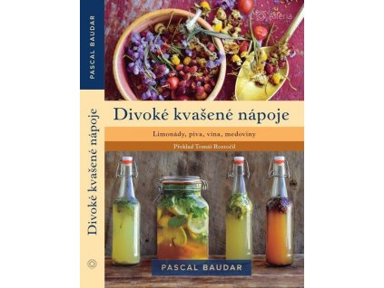 divoke kvasene napoje limonady piva vina medoviny