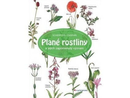 plane rostliny