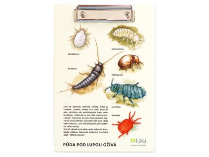 puda pod lupou oziva fotka 6 2021 01 f15663