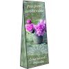 asistentka2 (4)