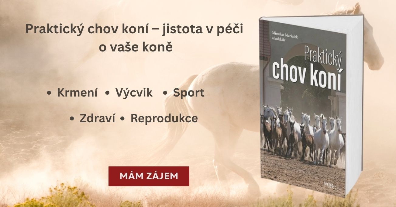 Praktický chov koní