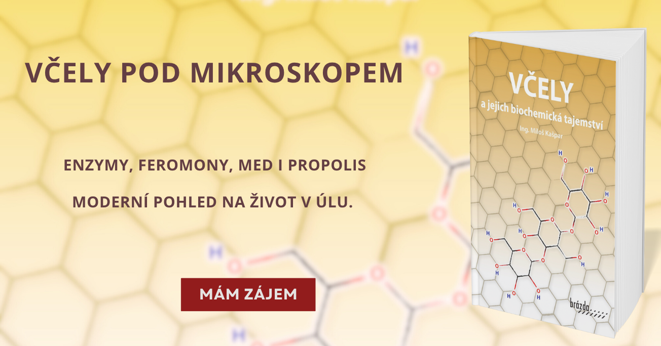 Včely biochemická tajemství