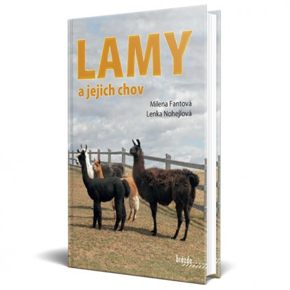 lamy