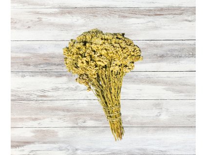 bylinky eshop foto (14)