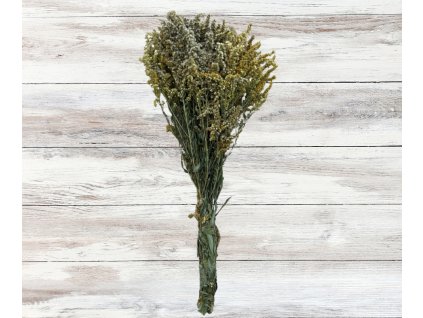 bylinky eshop foto (1)