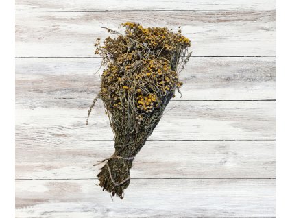 Vratič - bylinný svazek